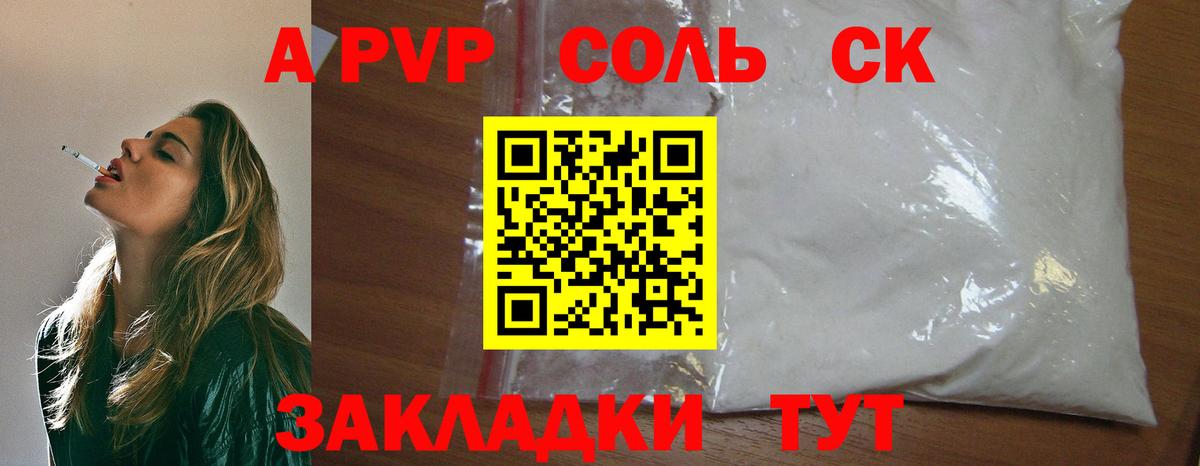 Альфа ПВП СК КРИС Грозный