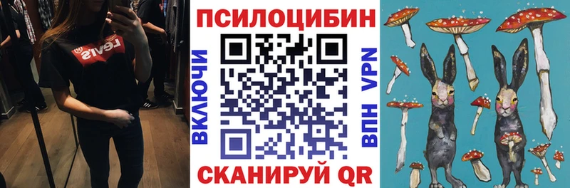 Псилоцибиновые грибы мицелий  где продают   Грозный 