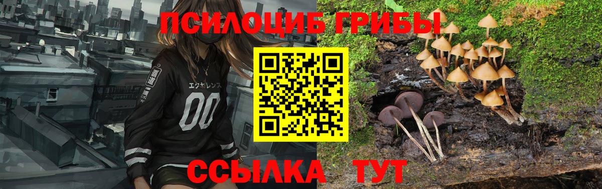 купить  цена  Галлюциногенные грибы Magic Shrooms  Вход с VPN  Грозный 