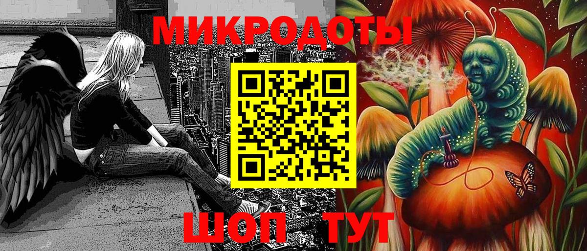 Галлюциногенные грибы Psilocybe  Грозный 